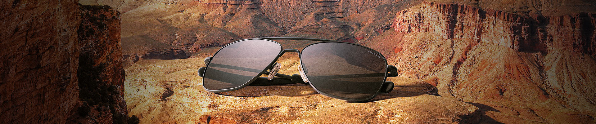XL Sunglasses Collection