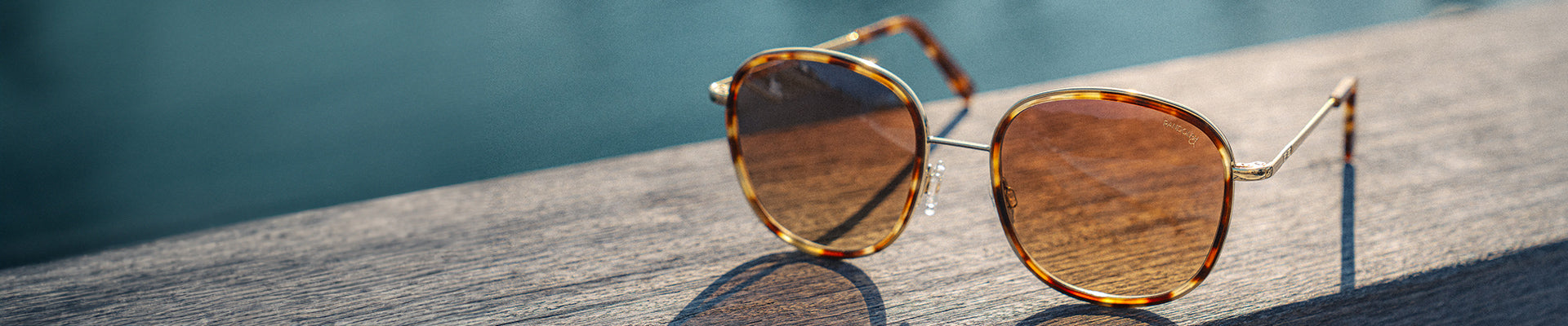 Polarized Sunglasses
