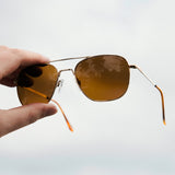 Randolph x Dave Portnoy Aviators