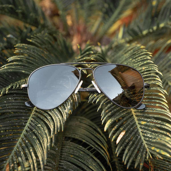 Black gold online aviator sunglasses