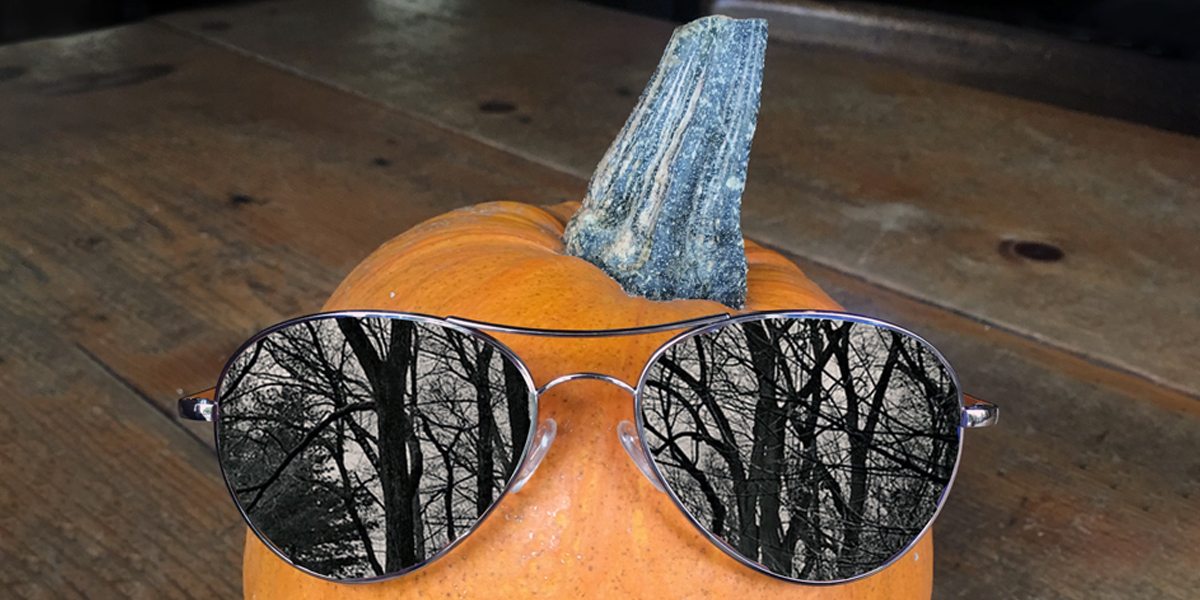 Halloween Costume Inspiration from Your Friends at Randolph
