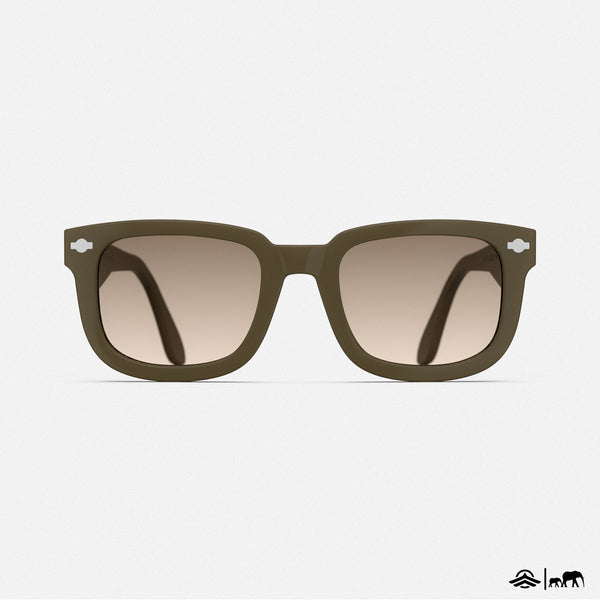 P51-Olive-SUN-