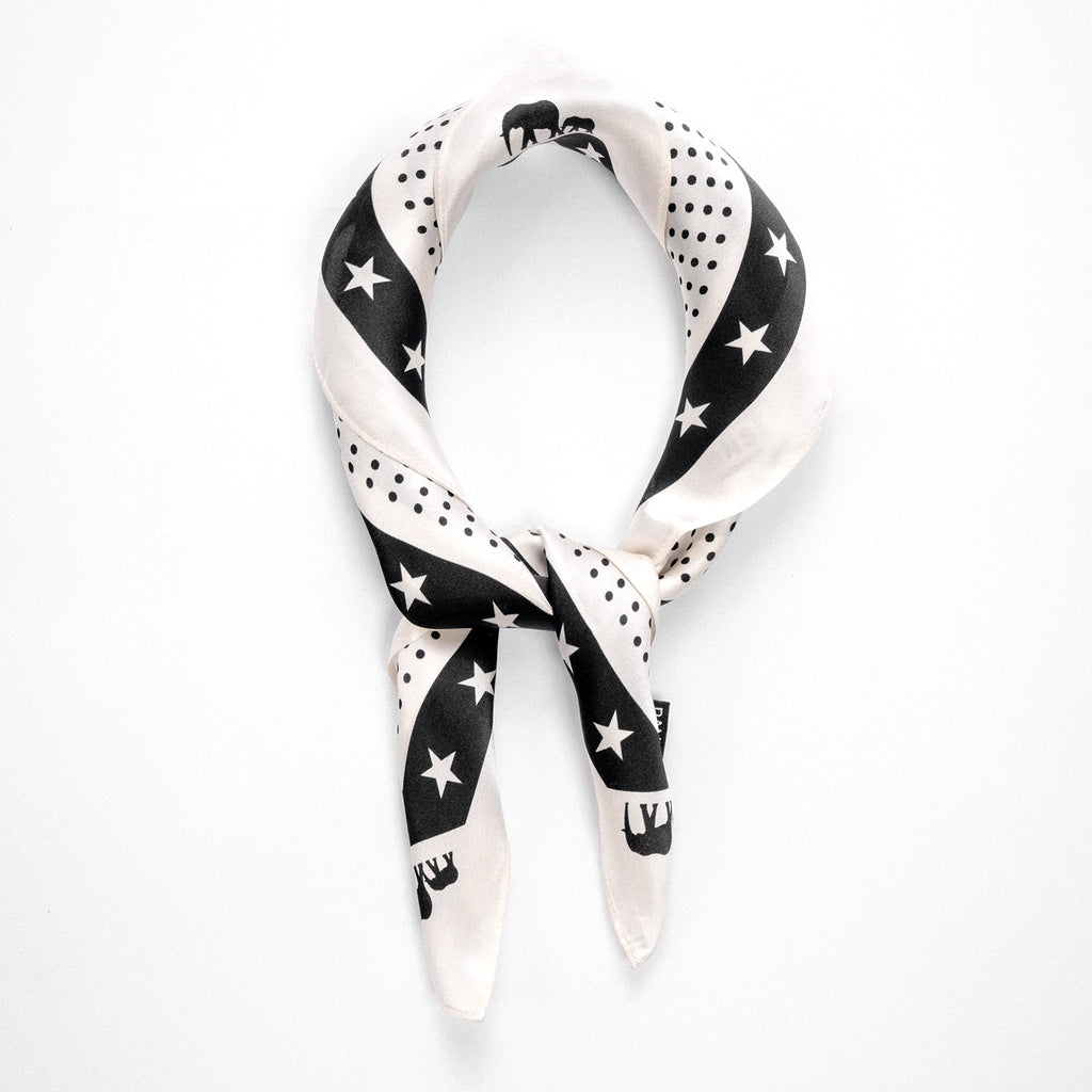 x BKc Silk Scarf